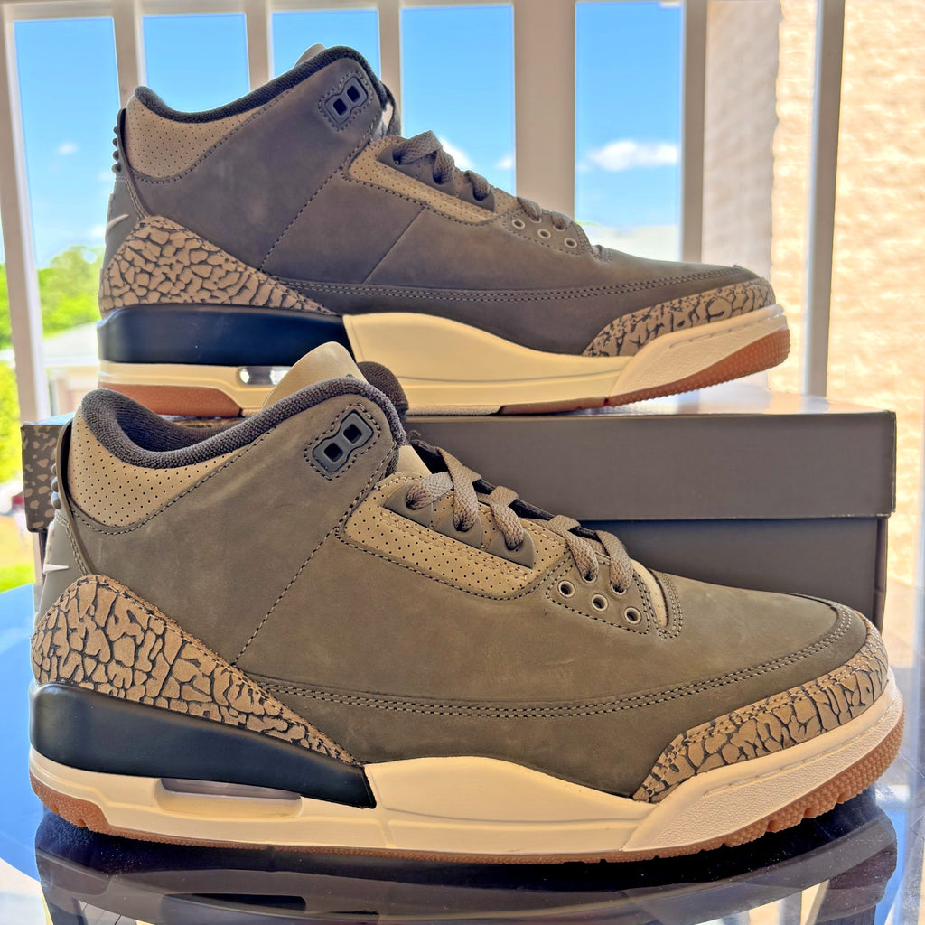 Nike Air Jordan 3 Retro Sneakers Casual Lifestyle Green Family Affair Mens Sizes