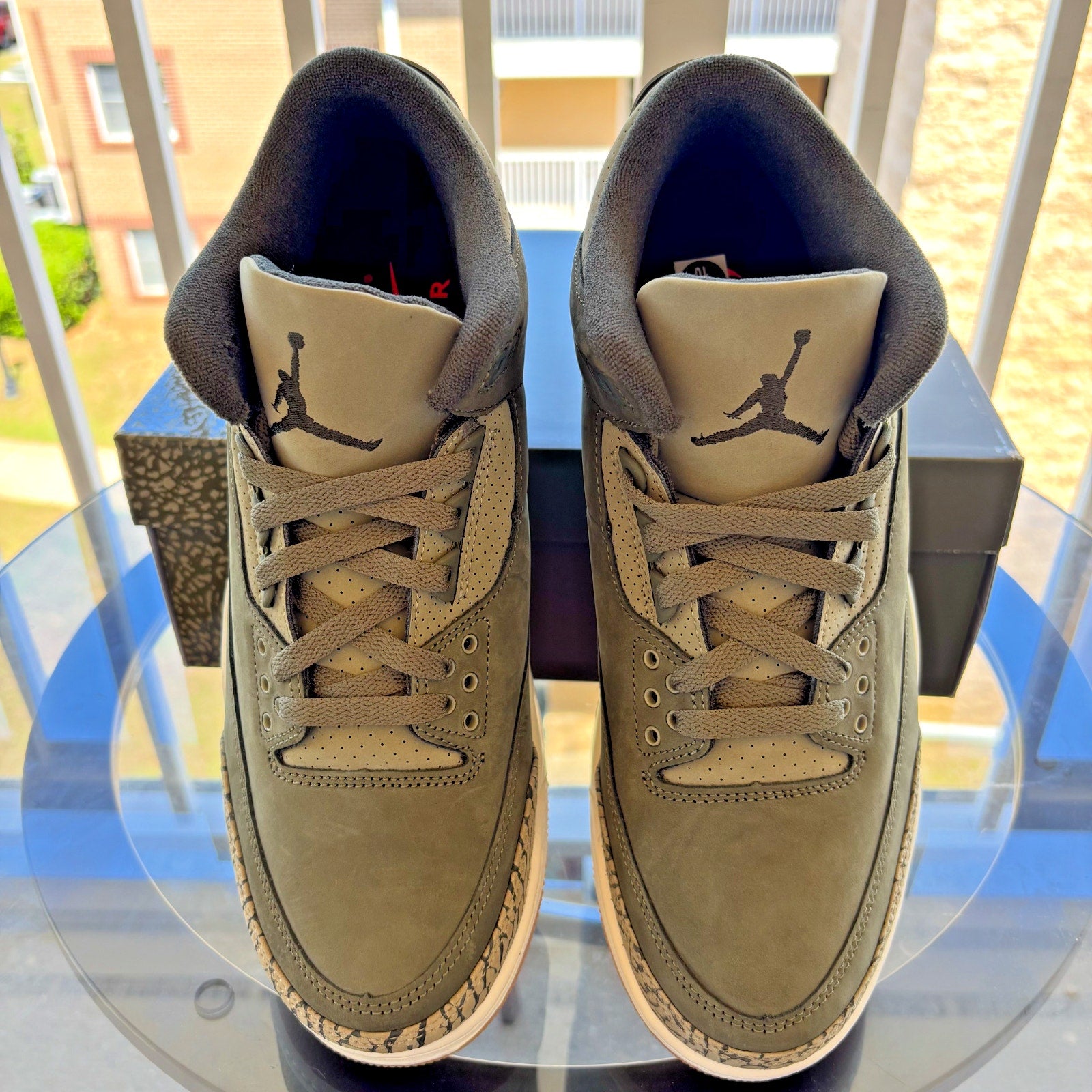 Nike Air Jordan 3 Retro Sneakers Casual Lifestyle Green Family Affair Mens Sizes