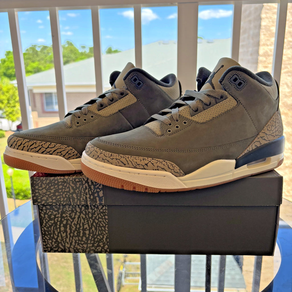 Nike Air Jordan 3 Retro Sneakers Casual Lifestyle Green Family Affair Mens Sizes