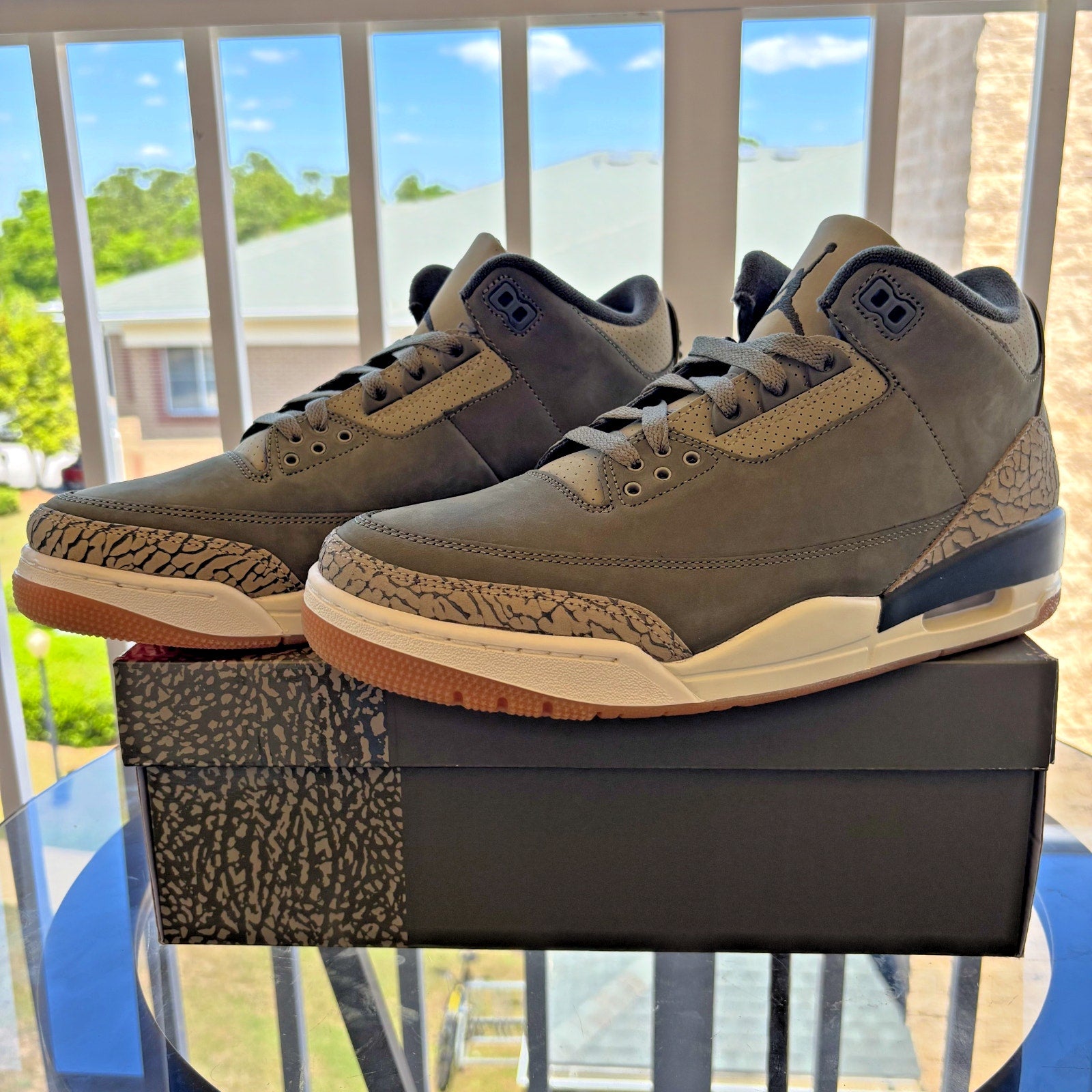 Nike Air Jordan 3 Retro Sneakers Casual Lifestyle Green Family Affair Mens Sizes