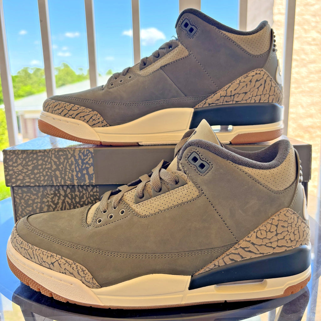 Nike Air Jordan 3 Retro Sneakers Casual Lifestyle Green Family Affair Mens Sizes