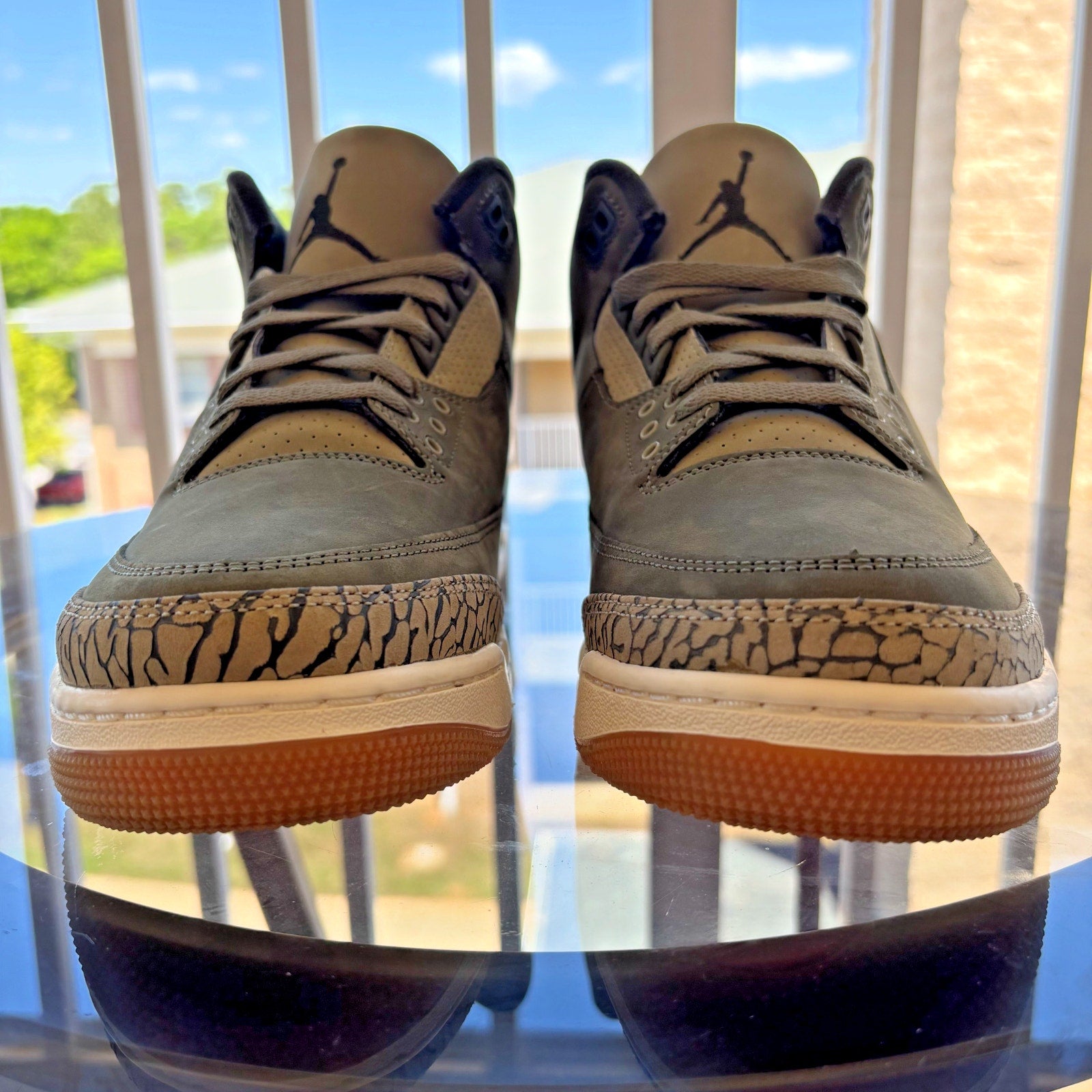 Nike Air Jordan 3 Retro Sneakers Casual Lifestyle Green Family Affair Mens Sizes
