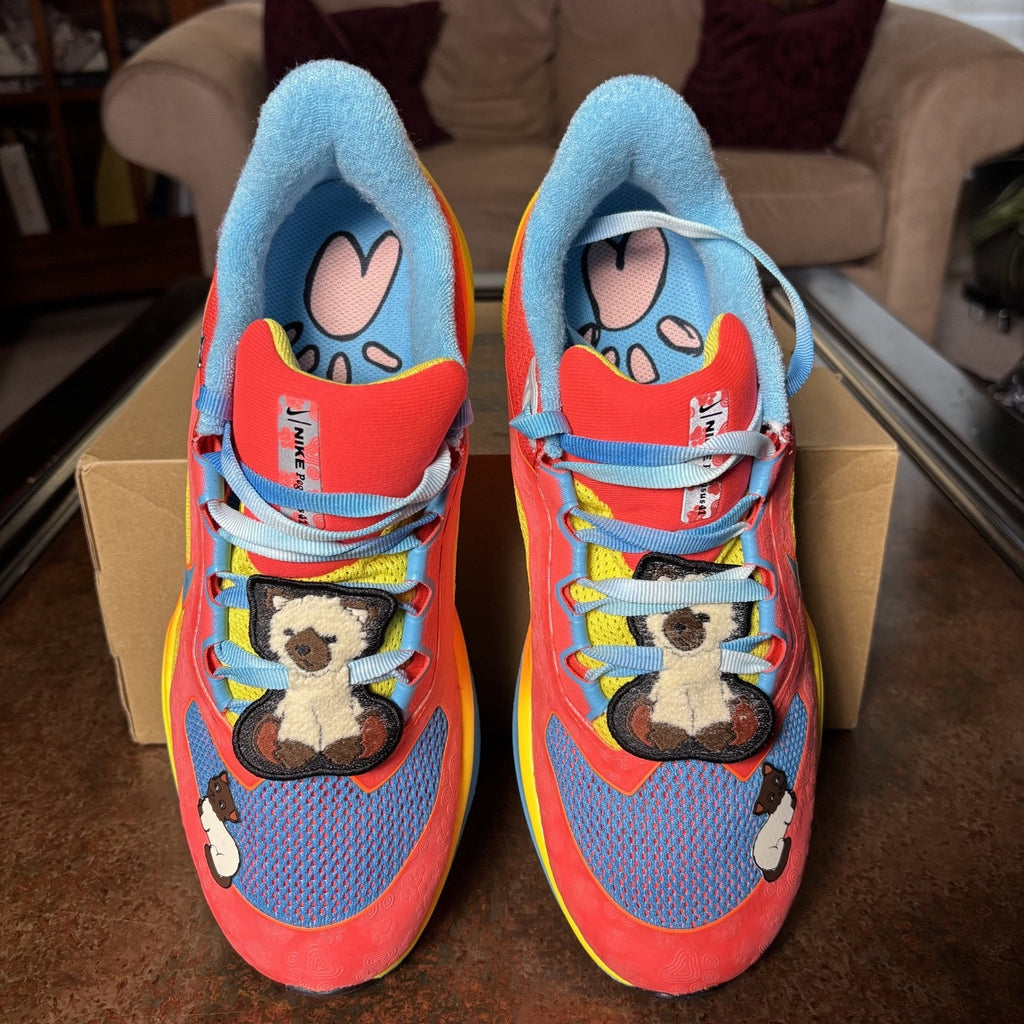 Nike Air Zoom Pegasus 41 Doernbecher Tima Men's Size 9 Multicolor Running Shoes