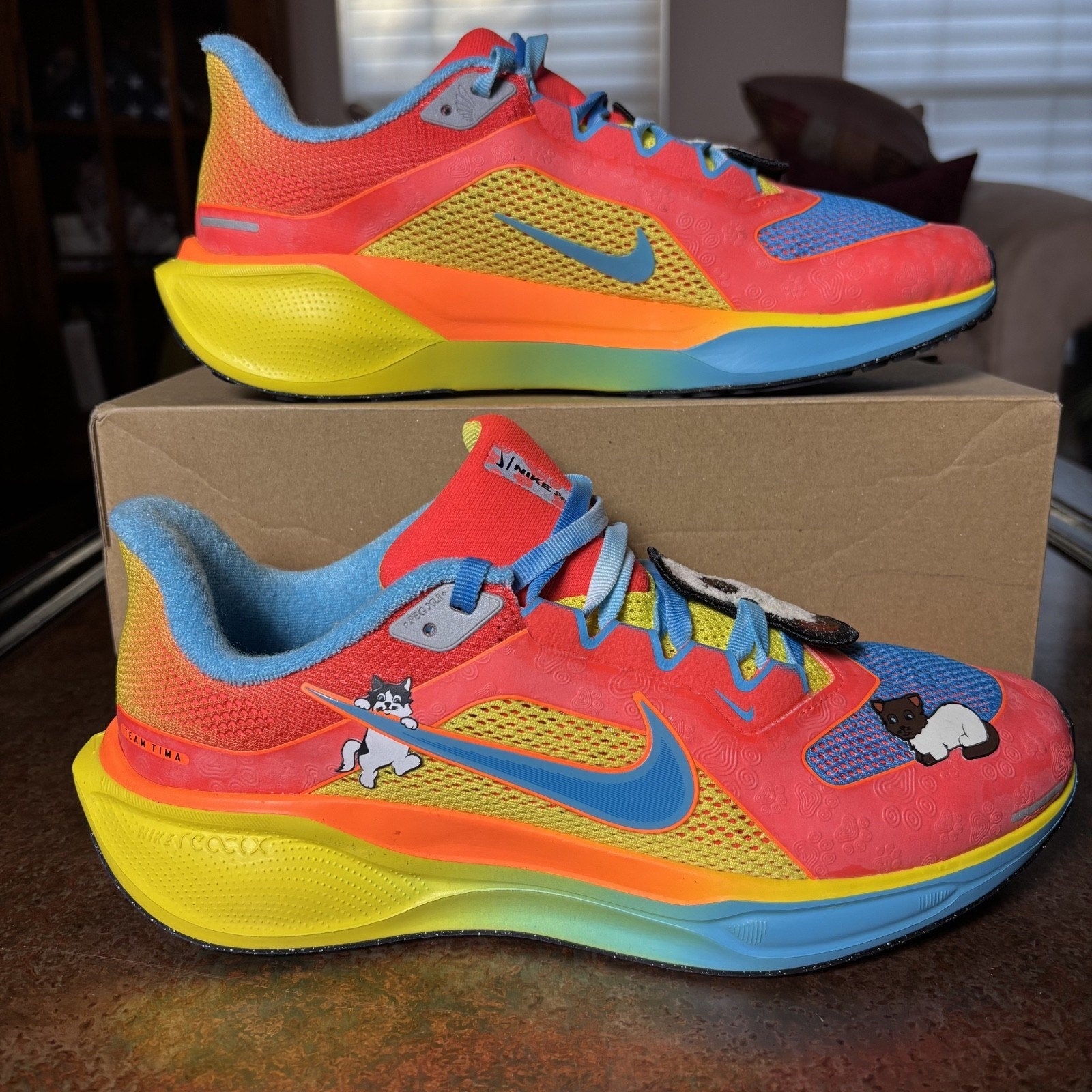 Nike Air Zoom Pegasus 41 Doernbecher Tima Men's Size 9 Multicolor Running Shoes